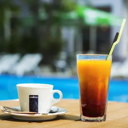 Svejest סאני ביץ'